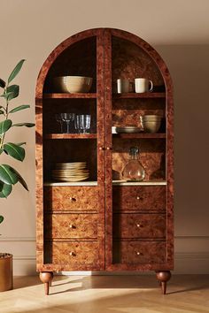 a wooden cabinet filled with lots of dishes next to a potted plant on top of a hard wood floor