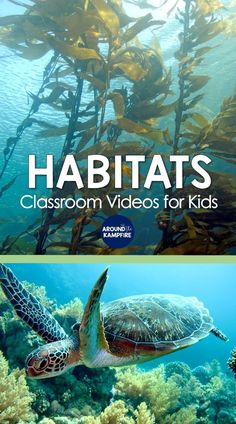 Free clickable list of habitats and ecosystems science videos for kids and teachers Grade 4 Habitats And Communities Science, Habitats 2nd Grade, September Homeschool, Teaching Habitats, Third Grade Science Activities, Ecosystem Activities, Soil Activities, Science Inspiration, Pyp Classroom