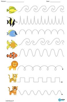 the letter m worksheet with different animals