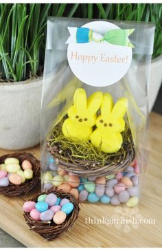 two peep - eared eggs in a nest on a table