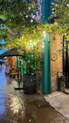 an outdoor area with umbrellas, potted plants and lights on the side walk