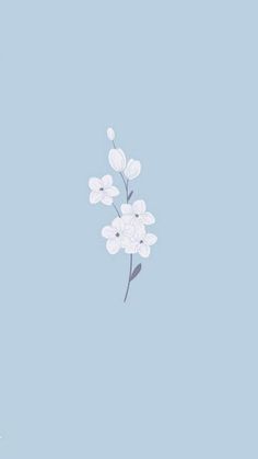 a white flower on a blue background