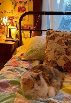 an orange and white cat laying on top of a bed