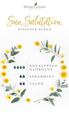 Valor Essential Oil, Diffuser Blends Young Living, Summer Essential Oils, Spearmint Essential Oil