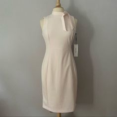 Nwt Light Pink Calvin Klein Dress Bow Accent On High Neckline. Gold Hardware Zip Closure. Elegant Calvin Klein A-line Midi Dress, Elegant Calvin Klein Sleeveless Midi Dress, Calvin Klein Spring Midi Dress For Office, Calvin Klein Elegant Sleeveless Formal Dress, Calvin Klein Spring Office Dress, Calvin Klein Spring Workwear Dress, Feminine Fitted Calvin Klein Midi Dress, Calvin Klein Fitted Feminine Midi Dress, Spring Lined Calvin Klein Midi Dress