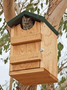 a bird house hanging from a tree branch