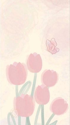 pink tulips and a butterfly on a white background