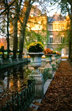 a planter filled with flowers sitting on top of a stone wall next to a pond