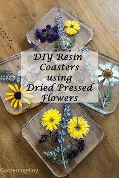 three plastic trays filled with dried flowers on top of a wooden table and the words diy resin coasters using dried pressed flowers