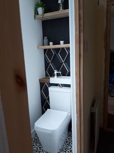 a white toilet sitting inside of a bathroom next to a wooden shelf filled with potted plants