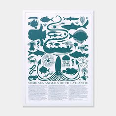 a poster with sea animals on it