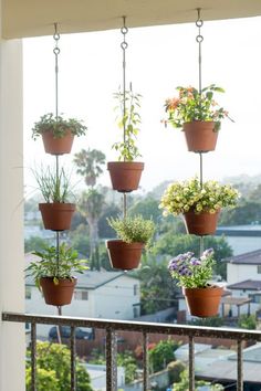 there are many potted plants hanging on the balcony railings, and one is upside down