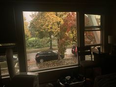 a car parked in front of a window next to a tree with leaves on it