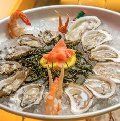 an oyster platter with shrimp, scallops and other seafood in ice water