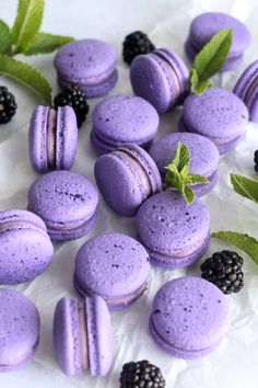 purple macaroons and blackberries on white paper with green leafy leaves around them