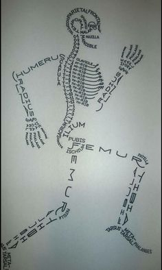 a drawing of a skeleton with words written on it