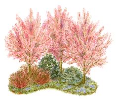 some pink trees and bushes on a white background