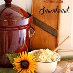 there is a large pot next to a bowl and a sunflower on the table