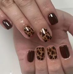 Cheetah Nails, Leopard Print Nails, Print Nails, Leopard Nails, Makijaż Smokey Eye, Pretty Acrylic Nails