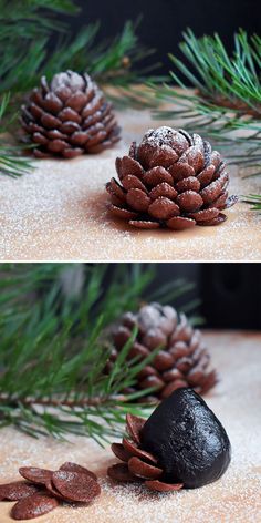 two pictures of pine cones on top of each other