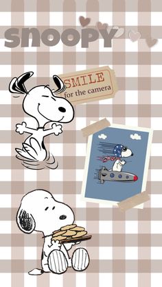 snoopy and the plane are flying through the sky with words above them that say, smile for the camera