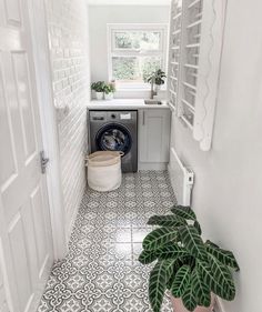 a washer and dryer in a small room next to a plant on the floor