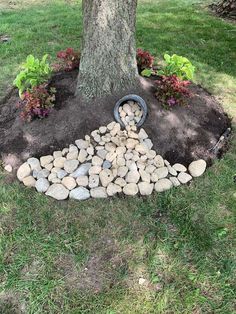 a pile of rocks sitting under a tree