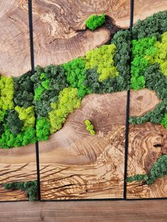 three pieces of wood with green trees on them