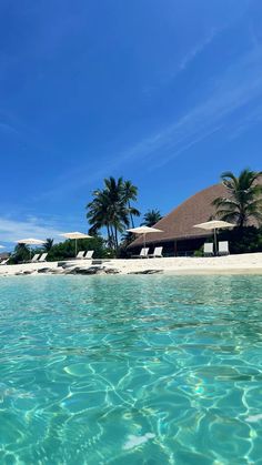 the water is crystal blue and there are palm trees on the beach in front of it