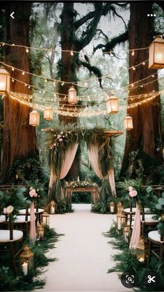 an outdoor wedding setup with lights and greenery