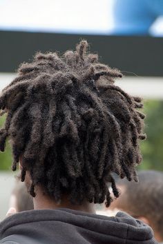 Freeform Dreadlocks, Dreadlocks Hairstyle, Freeform Dreads, Short Dreadlocks, Thick Locks, Loc Appreciation, Freeform Locs, Crazy Hairstyles, Ugly Hair