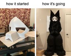 two pictures one has a cat costume and the other has a paper bag in front of it