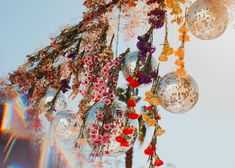 several disco balls hanging from a tree with flowers on them and sun shining in the background