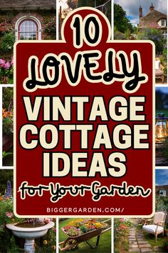 Explore 10 Creative Ways to Add Vintage Charm to Your Cottage Garden. Blend vintage decor with natural beauty to craft a charming and inviting outdoor space.