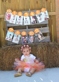 Patch Birthday Party, Pumpkin Patch Birthday Party, Fall First Birthday, Pumpkin Patch Birthday