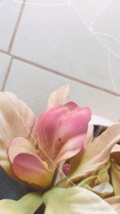 a pink flower sitting on top of a white tile floor next to a tiled wall