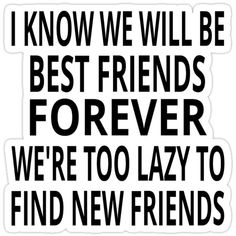 a sticker that says i know we will be best friends forever, we're too lazy to find new friends