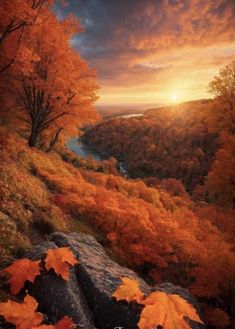 an autumn scene with leaves on the ground and water in the distance, as the sun sets