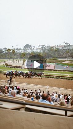 people watching horses race on the track