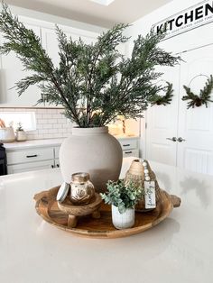 a white kitchen with a large potted plant on top of the counter and two jars in front of it