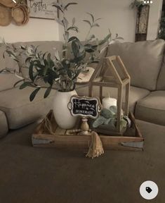 a living room with a couch, coffee table and potted plant on the tray