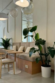 a living room filled with lots of furniture next to a potted plant and table