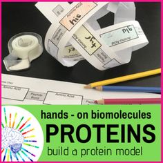 hands - on biomolecures for the protein building process with text overlay