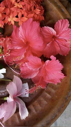 pink and white flowers are in a bowl