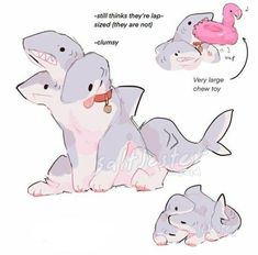 Shark Art, Cute Shark, Cute Doodles Drawings, Cute Doodle Art, Dessin Adorable, Creature Concept Art