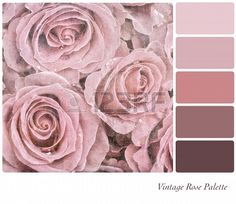 a bunch of pink roses are shown in the color palette, with different shades to choose from