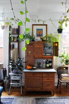 a kitchen with lots of green plants in the window sill and on top of a wooden cabinet