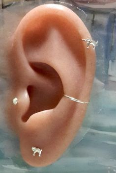 This listing is for ONE earring handcrafted 925 Sterling Silver Sharm Cat hoop . Extremely comfortable, good for everyday use. Good as helix(cartilage), tragus , daith, nose, rook, septum, conch ring. Material: 925 Sterling Silver Gauge : 14 Gauge (1.4mm), 16 Gauge(1.2mm), 18 Gauge(1mm), 20 Gauge(0.8mm), 22 Gauge(0.6mm) Inner Diameter: 7mm, 8mm, 9mm, 10mm, 11mm, 12mm, 13mm, 14mm, 15mm, 16mm Cat - 925 Sterling Silver Size in image is 20 gauge 8mm diameter. Select your preference in the Gauge &amp Conch Ring, Septum Hoop, Tragus Ring, Nose Bone, Rose Gold Texture, Cat Nose, Tragus Stud, Nose Bones, Helix Hoop