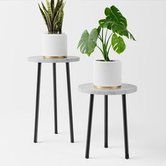 two white planters with black legs and one has a potted plant on top