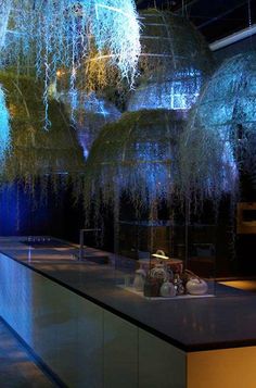 a room filled with lots of hanging plants and vases on top of a counter